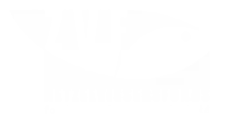 Previs web app laten maken